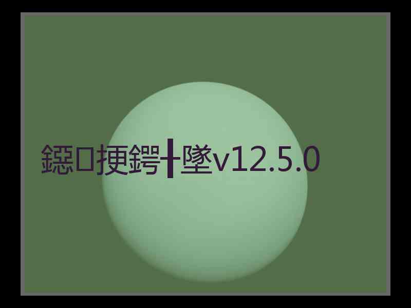 鐚挭鍔╂墜v12.5.0