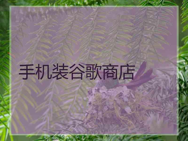 手机装谷歌商店