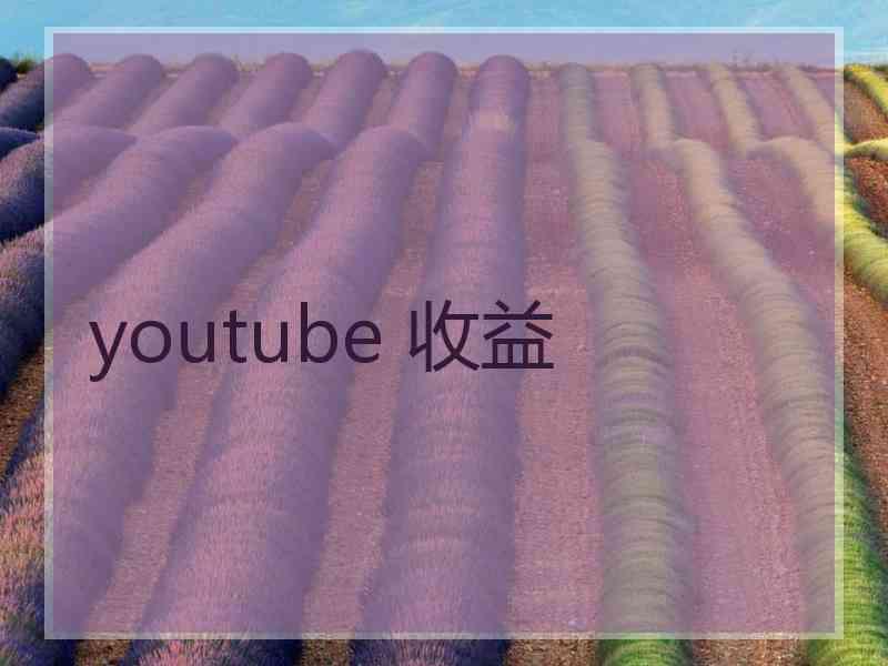 youtube 收益