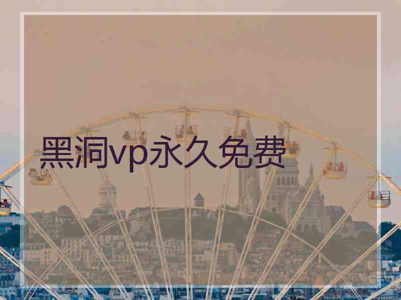黑洞vp永久免费