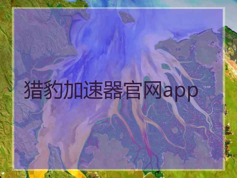 猎豹加速器官网app
