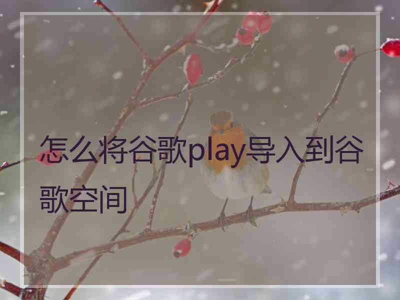 怎么将谷歌play导入到谷歌空间