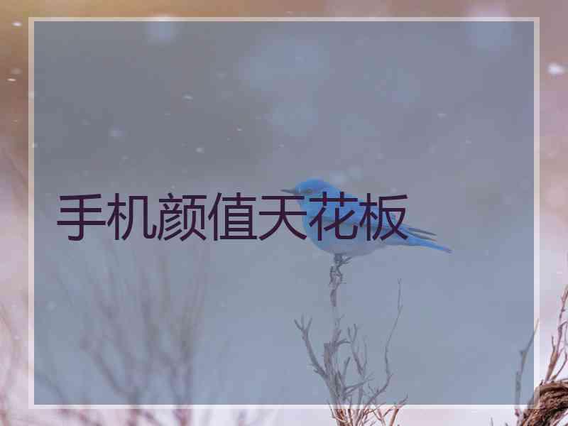 手机颜值天花板