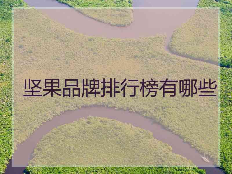 坚果品牌排行榜有哪些