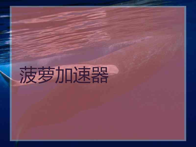 菠萝加速器