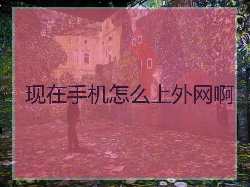 现在手机怎么上外网啊