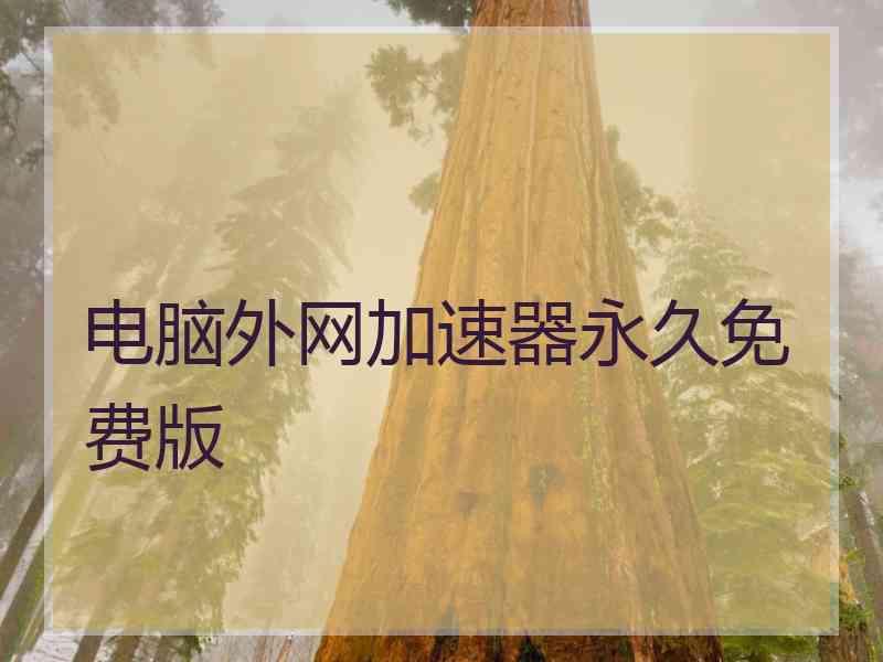 电脑外网加速器永久免费版