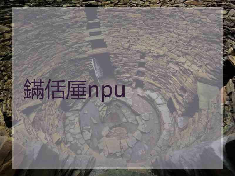 鏋佸厜npu