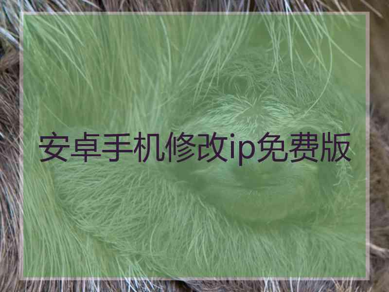 安卓手机修改ip免费版