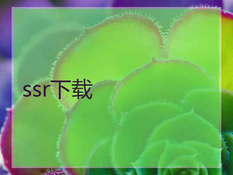 ssr下载