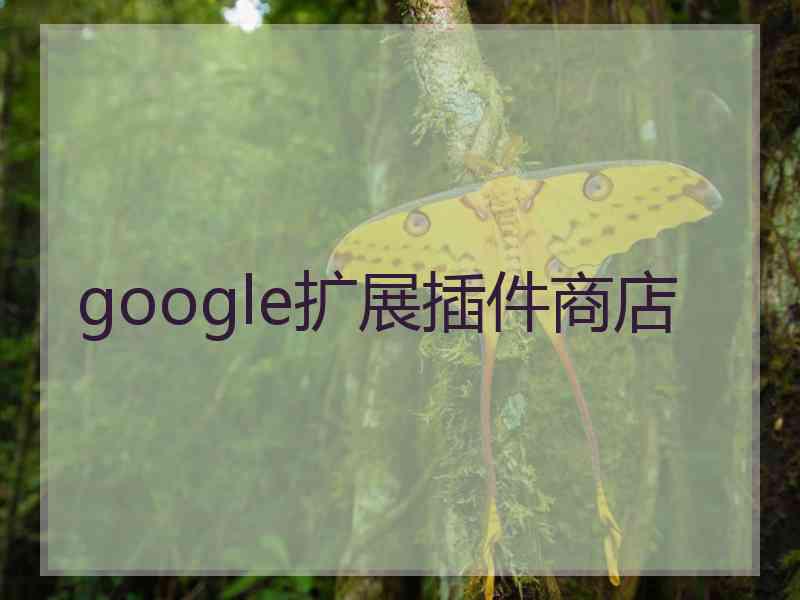 google扩展插件商店