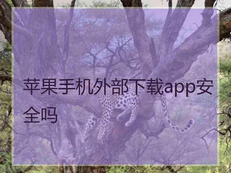 苹果手机外部下载app安全吗