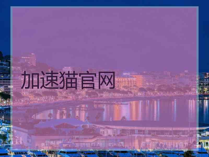 加速猫官网