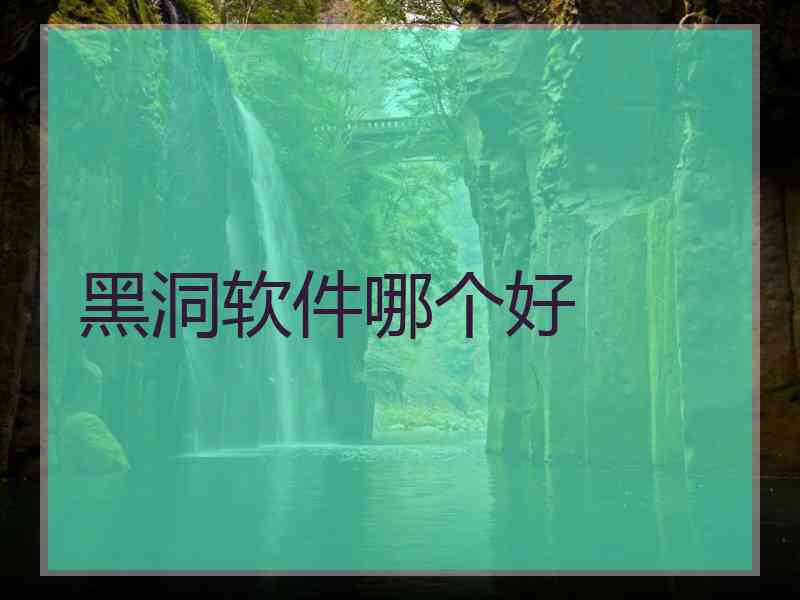 黑洞软件哪个好