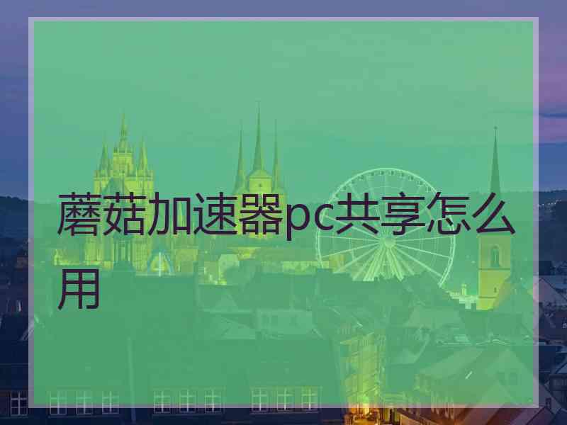 蘑菇加速器pc共享怎么用