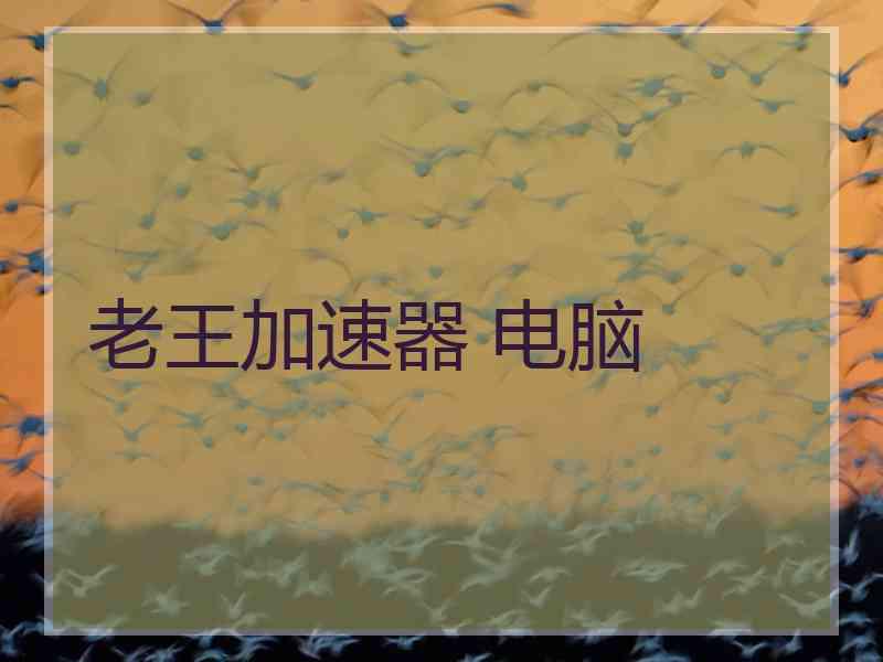 老王加速器 电脑