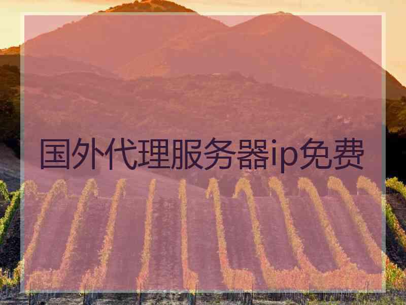 国外代理服务器ip免费