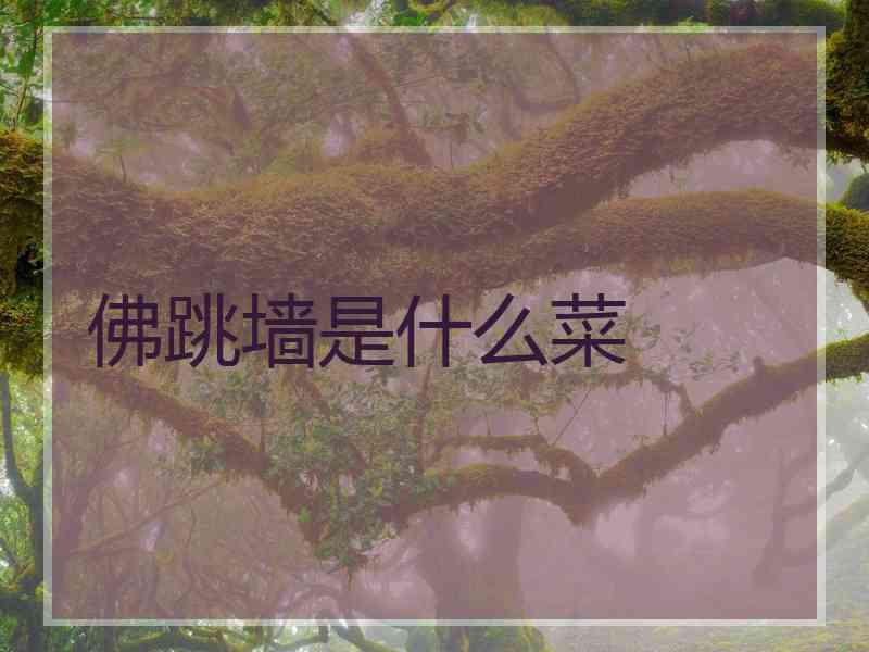 佛跳墙是什么菜