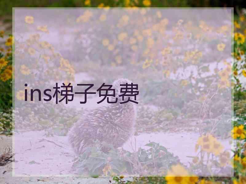ins梯子免费