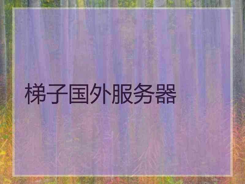 梯子国外服务器