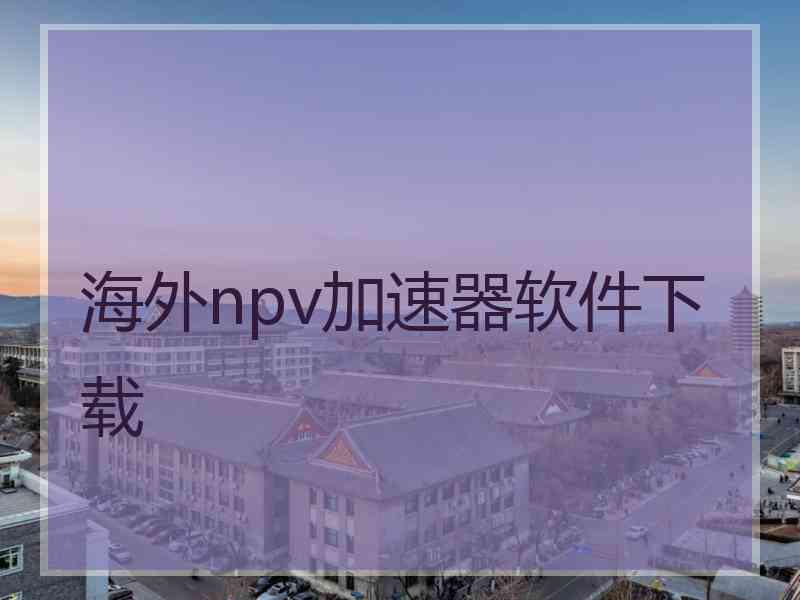 海外npv加速器软件下载