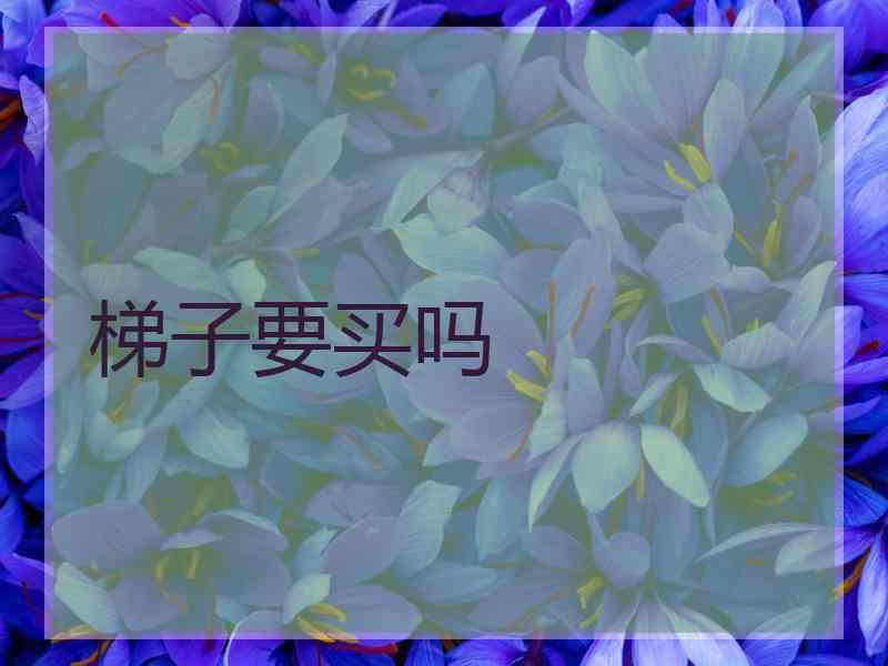 梯子要买吗