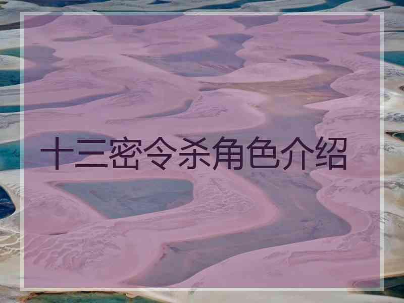十三密令杀角色介绍