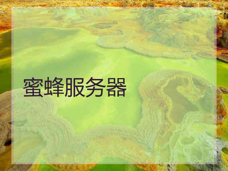 蜜蜂服务器