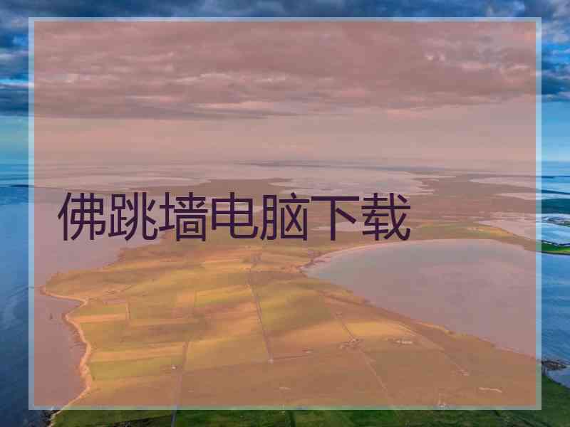 佛跳墙电脑下载