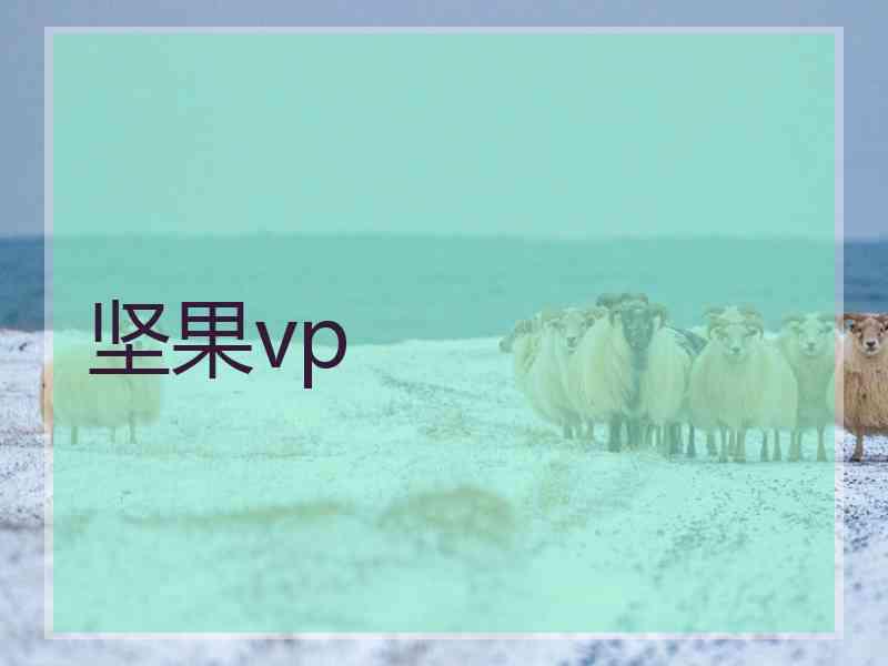 坚果vp