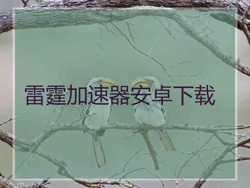 雷霆加速器安卓下载