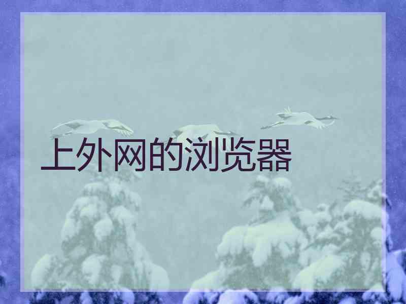 上外网的浏览器