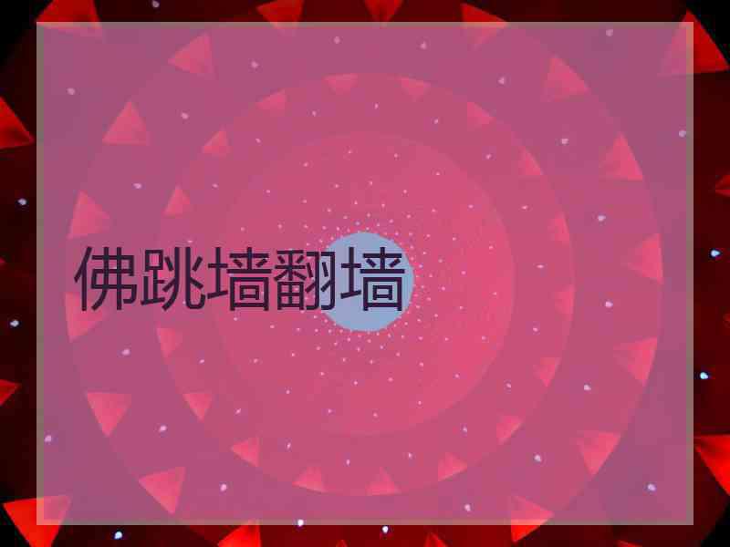 佛跳墙翻墙