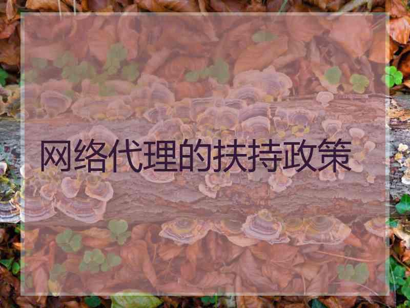 网络代理的扶持政策