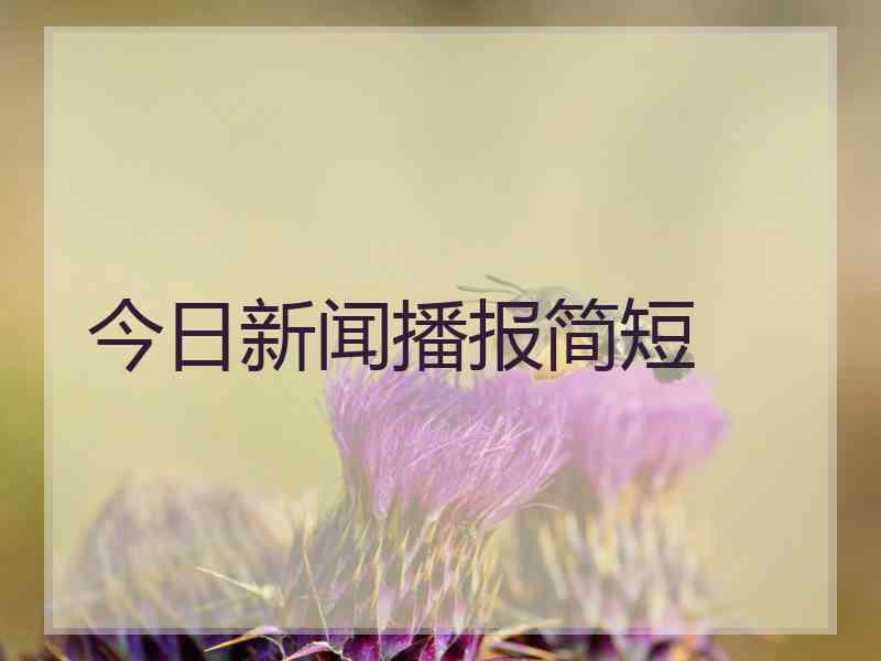 今日新闻播报简短