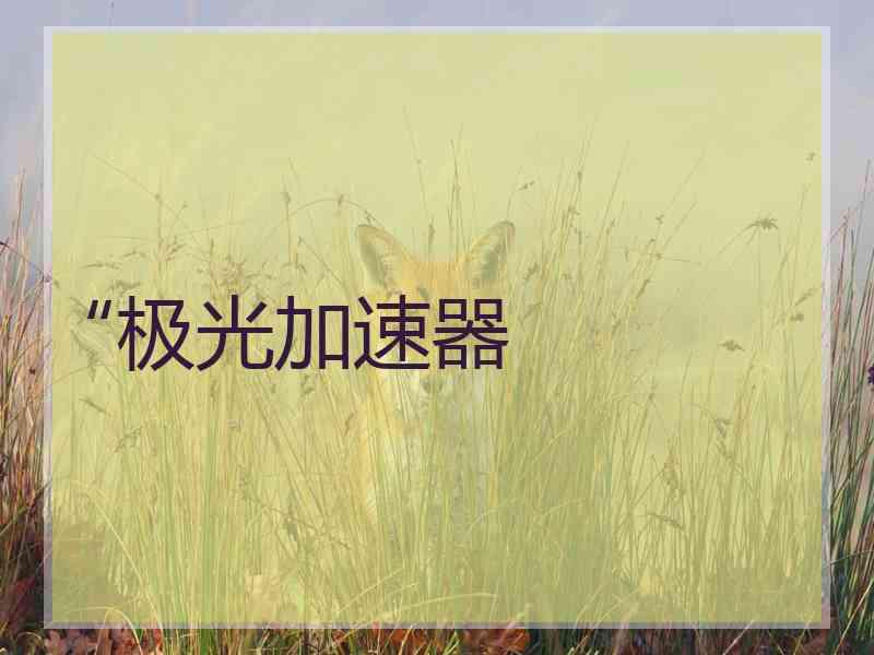 “极光加速器