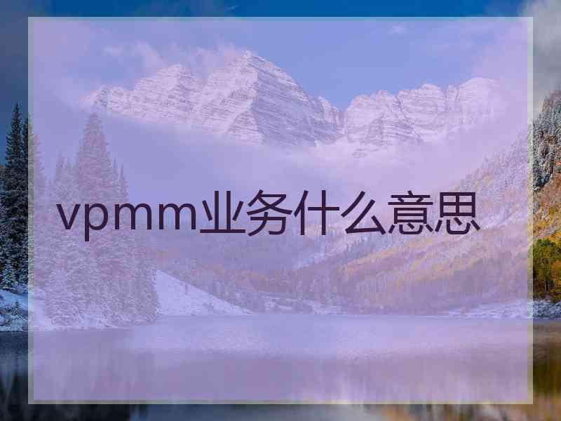 vpmm业务什么意思