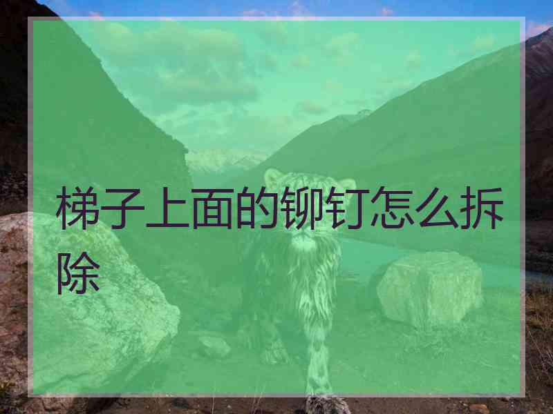 梯子上面的铆钉怎么拆除