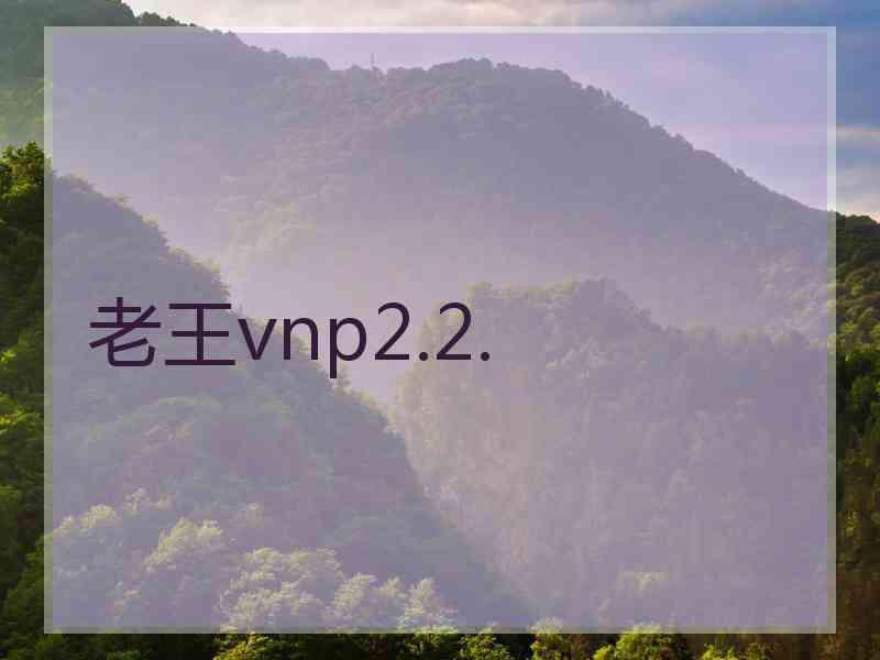 老王vnp2.2.