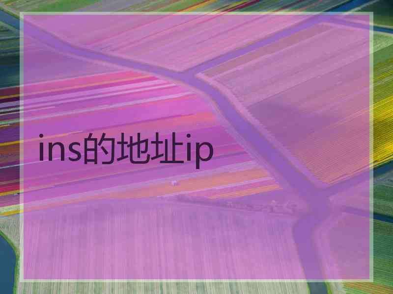 ins的地址ip