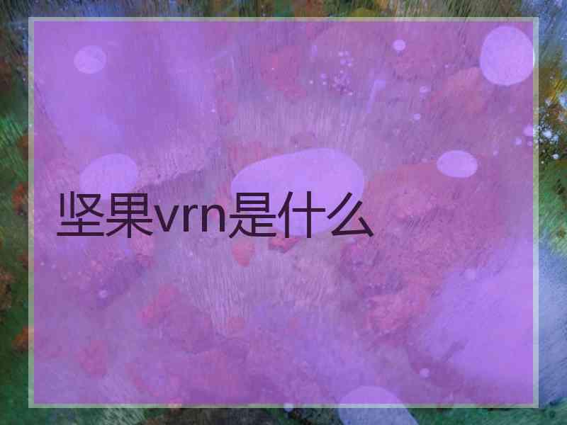 坚果vrn是什么