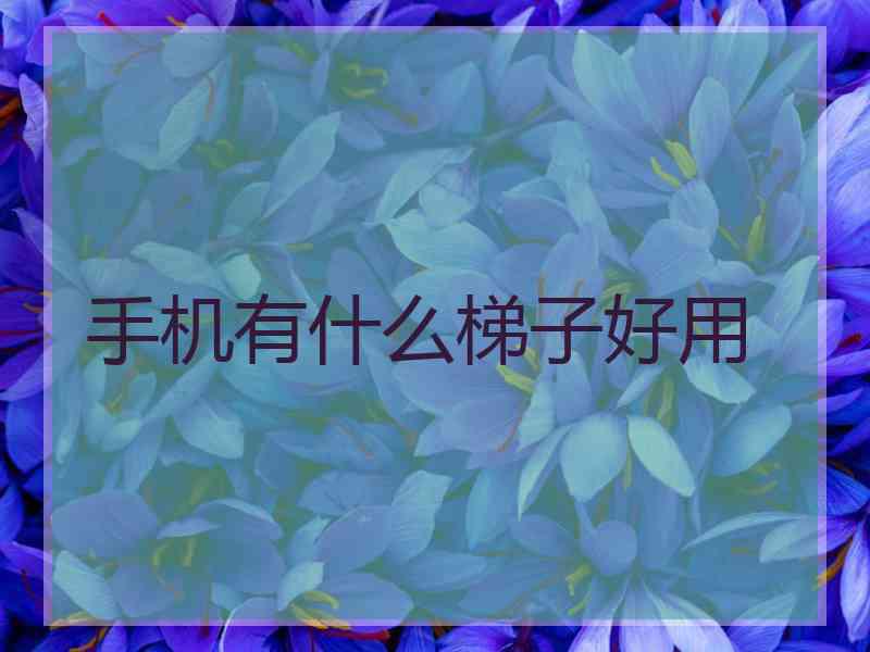手机有什么梯子好用