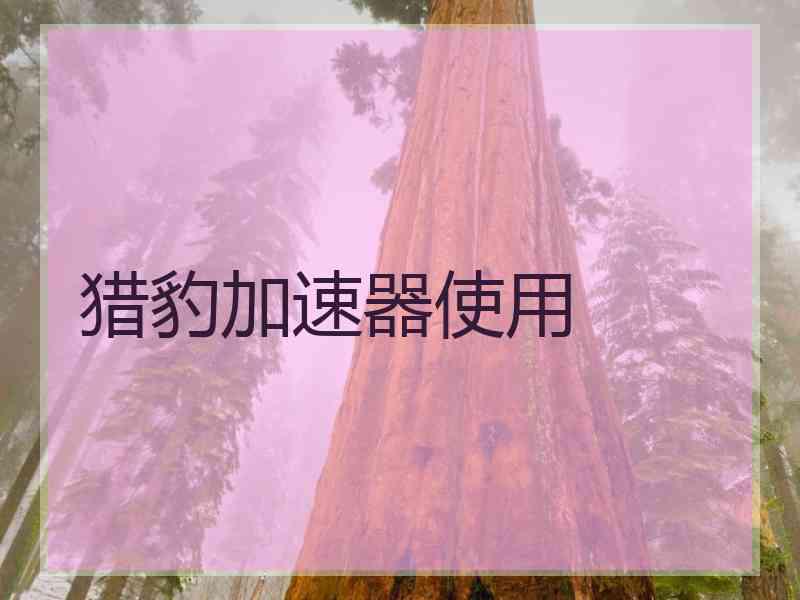 猎豹加速器使用