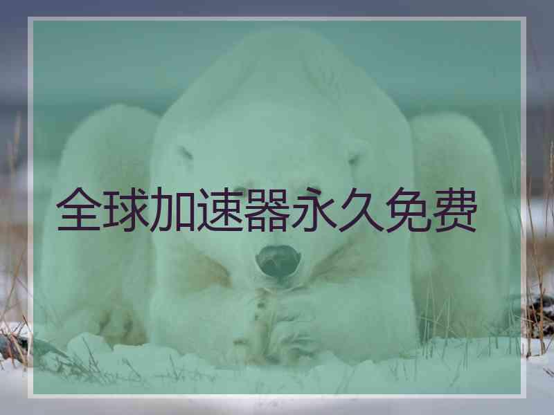 全球加速器永久免费