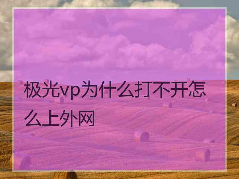 极光vp为什么打不开怎么上外网