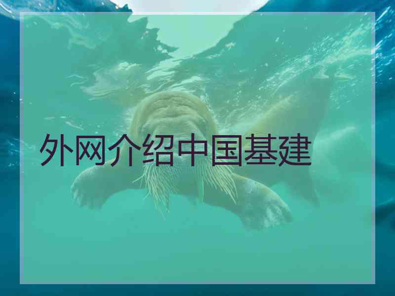 外网介绍中国基建