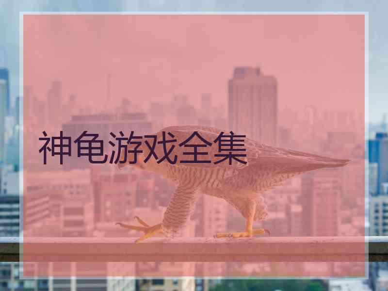 神龟游戏全集