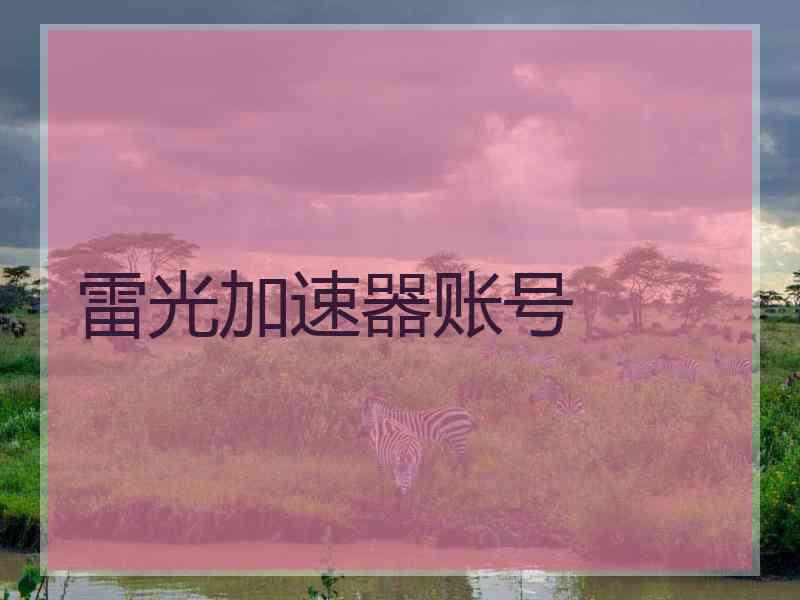 雷光加速器账号