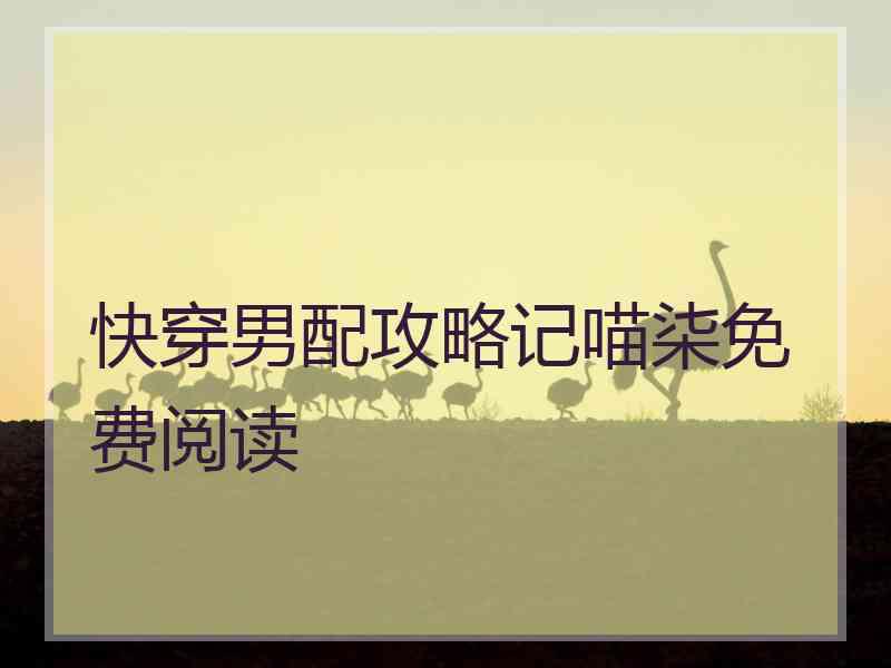 快穿男配攻略记喵柒免费阅读