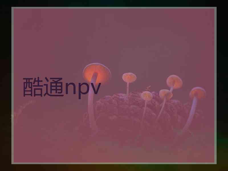 酷通npv